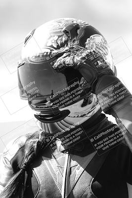 media/Mar-08-2025-TrackXperience (Sat) [[277b597a28]]/1-Around the Pits - Pre Grid/